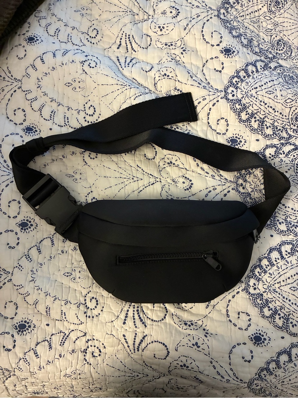Dagne Dover Black Crossbody Belt Bag